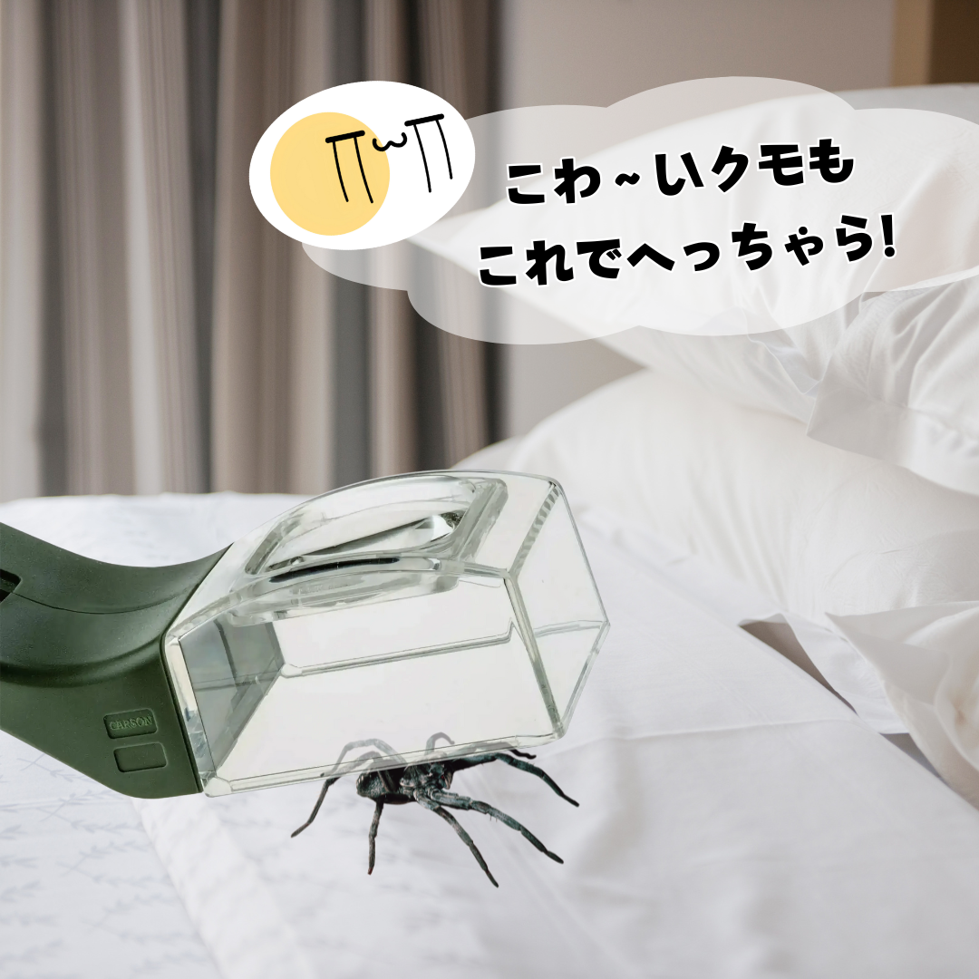 バギーバディ