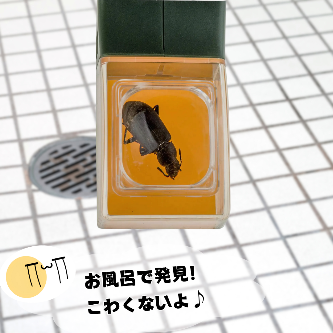 バギーバディ